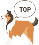 TOPへ戻る