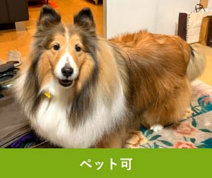 ペット可